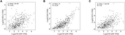 Identification of TNFAIP8 as an Immune-Related Biomarker Associated With Tumorigenesis and Prognosis in Cutaneous Melanoma Patients